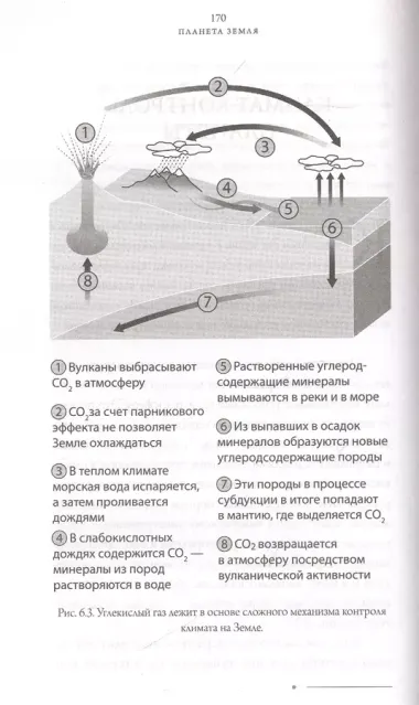 Планета Земля. Познакомьтесь с миром, который мы называем домом