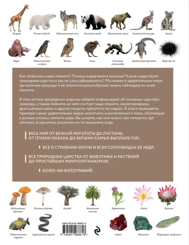 Атлас Земли. Животные, растения, грибы, бактерии, минералы и другие сокровища нашей планеты