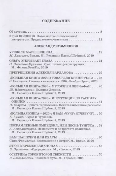 Проклятые критики. Новый взгляд на современную отечественную словесность. В помощь преподавателю литературы