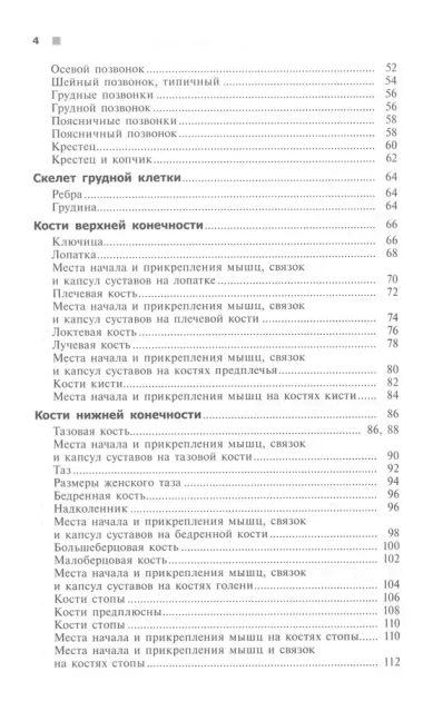 Справочный атлас анатомии человека. На основе Международной анатомической терминологии