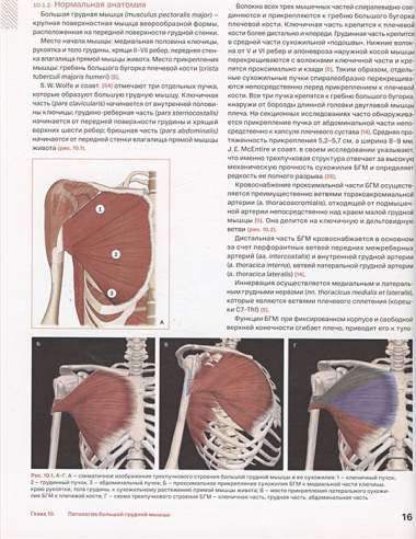 Спортивное плечо. В 3-х томах. Том 3. Эндопротезирование, травмы и реабилитация плечевого сустава