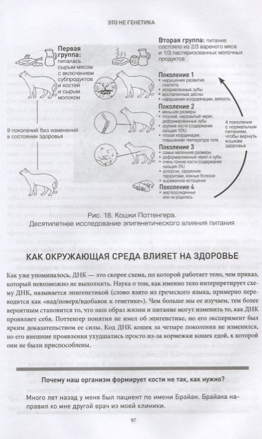 Челюсти. Научное исследование о взаимосвязи между зубами, мозгом и кишечником + 40-дневный план питания, который поможет вернуть в норму здоровье ротовой полости и сформировать иммунитет к кариесу