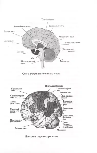 Психосоматика. Как распознать и обезвредить хронический стресс