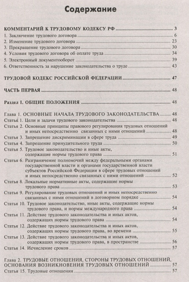Трудовой кодекс Российской Федерации. Комментарий к последним изменениям