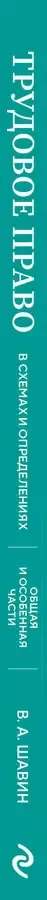Трудовое право в схемах и определениях. 2-е издание. Исправленное и дополненное