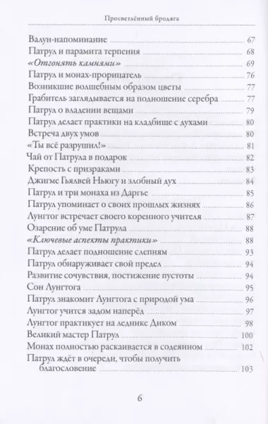 Просветленный бродяга. Жизнь и учения Патрула Ринпоче