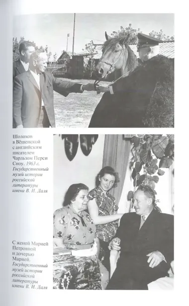 Шолохов. Незаконный