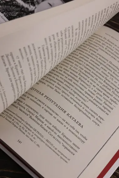 2 брата: Валентин Катаев и Евгений Петров на корабле советской истории