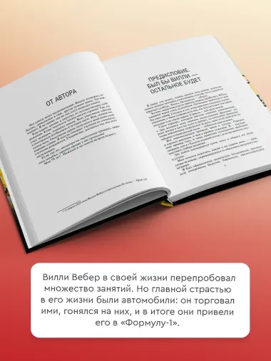 Моя кровь — бензин. Автобиография менеджера Шумахера