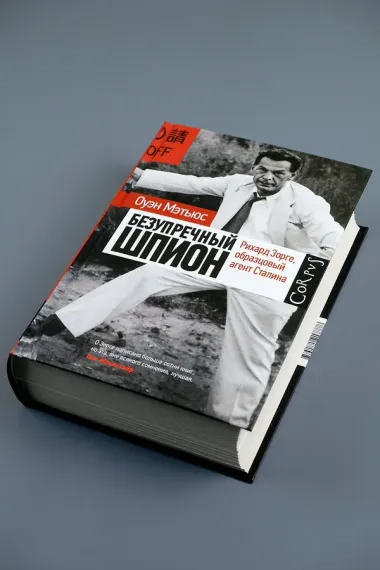 Безупречный шпион