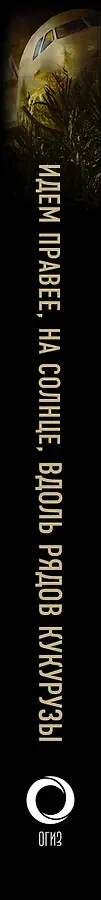 Идем правее, на солнце, вдоль рядов кукурузы. История чудесного спасения глазами бортпроводника