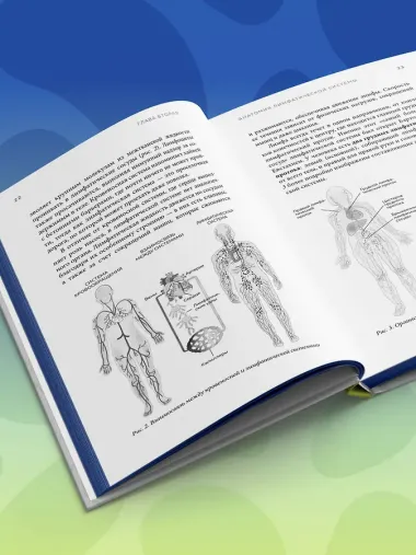 Все о лимфе. Как правильно заботиться о здоровье лимфатической системы и почему это важно (закрашенный обрез)