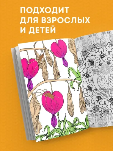 Загадочный лес.Мини-раскраска-антистресс для творчества и вдохновения