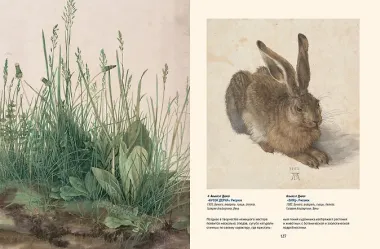 Шедевры Северного Возрождения. Босх, Брейгель, Дюрер и другие знаменитые художники