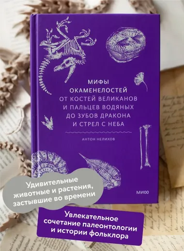 Мифы окаменелостей. От костей великанов и пальцев водяных до зубов дракона и стрел с неба