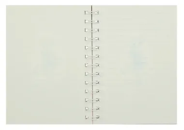 Записная книжка А6 80 листов в линейку, 