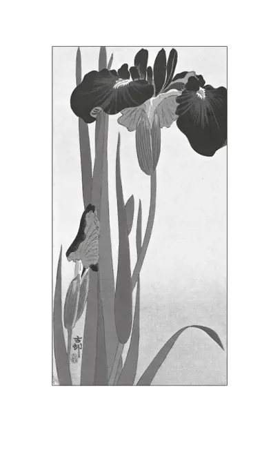 Час откровения