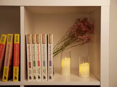 Куриный бульон для души. Не могу поверить, что это сделала моя кошка! 101 история об удивительных выходках любимых питомцев