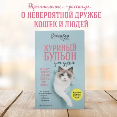 Куриный бульон для души. Не могу поверить, что это сделала моя кошка! 101 история об удивительных выходках любимых питомцев
