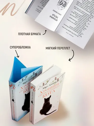 Хроники странствующего кота