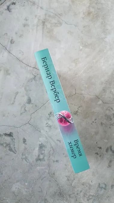 Время химер