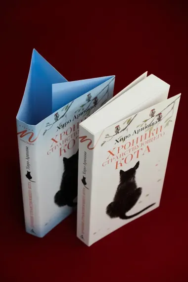 Хроники странствующего кота