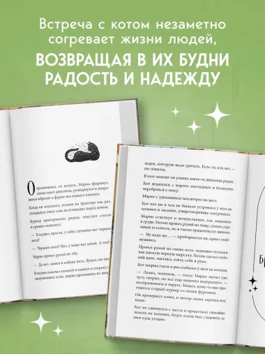 Кот с семью именами. Счастье приходит к тому, кто верит в чудеса