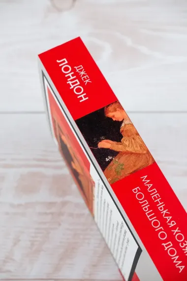 Маленькая хозяйка Большого дома