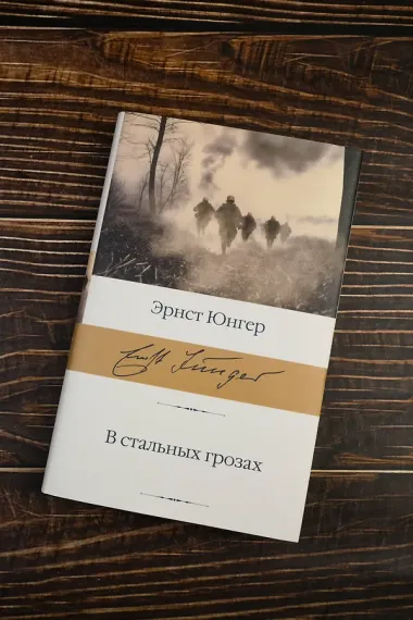 В стальных грозах
