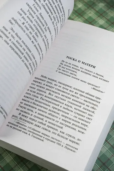 Похвала тени