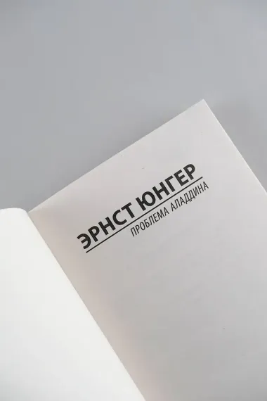 Проблема Аладдина