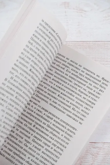 Скотный двор. Эссе