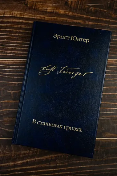 В стальных грозах