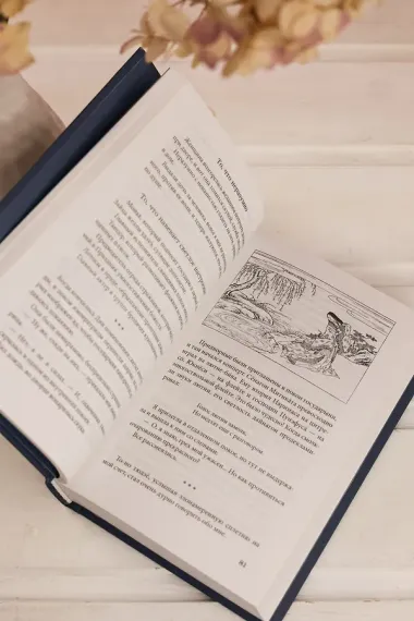 Сияние полной луны: Японские лирические дневники