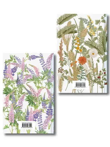 Авонлейские хроники. Продолжение вселенной Ани из Зелёных Мезонинов (комплект из 2 книг: Авонлейские хроники и Новые Авонлейские хроники)