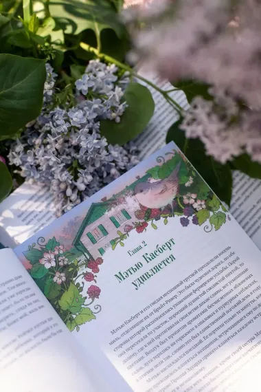 Аня из зеленых мезонинов