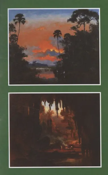 Алмазы перуанца. Том 2