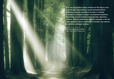 Книга Единорогов. Волшебный путеводитель по страницам фолиантов, глубинам тайных знаний и вершинам изящных искусств