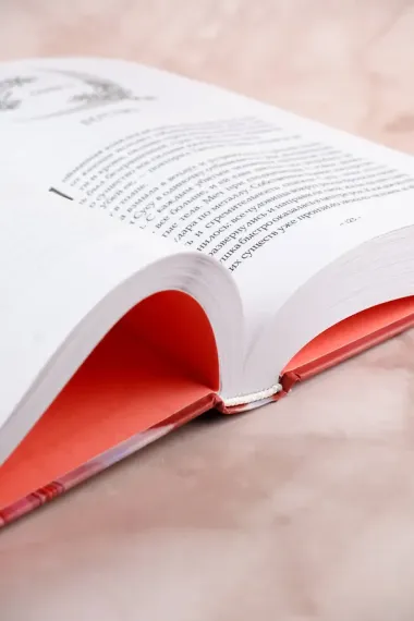 Светлый пепел луны. Книга 1. Новелла