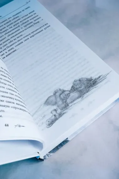 Сказки Волшебной страны (с илл. Алана Ли)