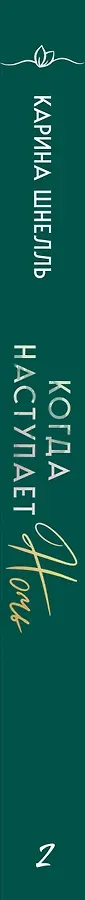 Когда наступает ночь