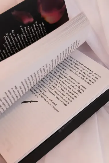 Связанные честью