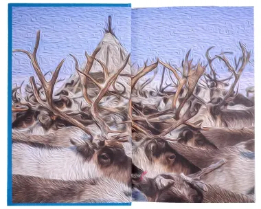 Комплект Танец маленьких медведей. Очень маленький земной шар (2 книги)