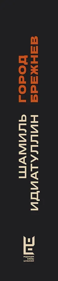 Город Брежнев