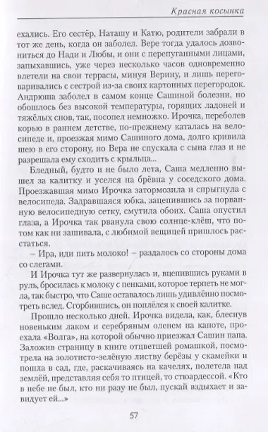 Красная косынка. Рассказы и миниатюры