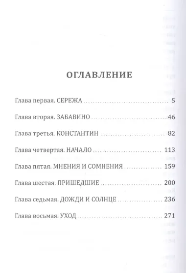 Соль неба. Роман-притча