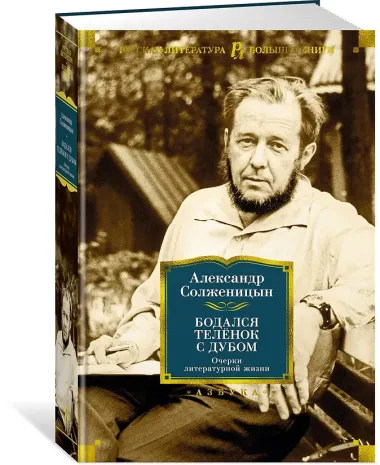 Бодался телёнок с дубом. Очерки литературной жизни