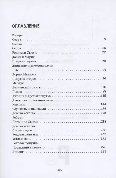 Попутчица : роман