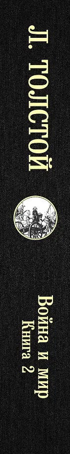 Война и мир. Книга 2