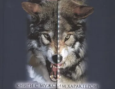 Давыд Городецкий. Сын Довмонта